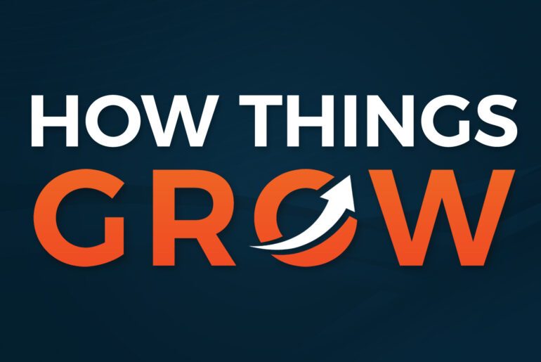 The one word strategic plan – with Lomit Patel